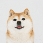 しばのて工房について